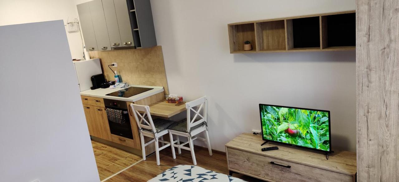 Marius Studio Braşov Dış mekan fotoğraf