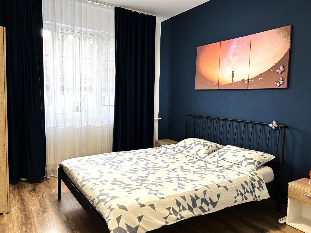 Marius Studio Braşov Dış mekan fotoğraf